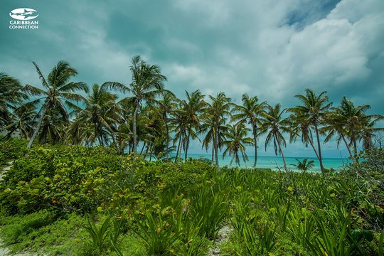 Tour image 6