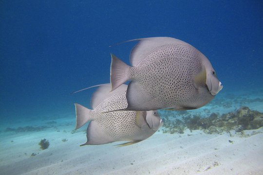 Tour image 5