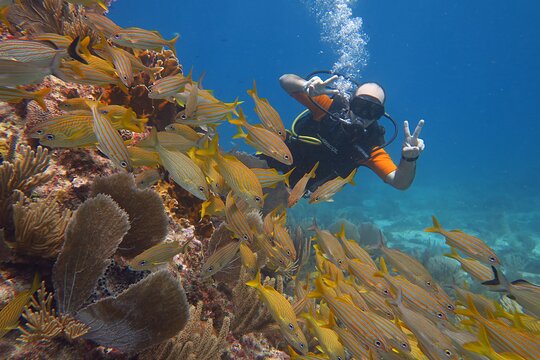 Tour image 6
