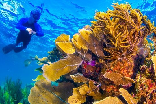 Tour image 7