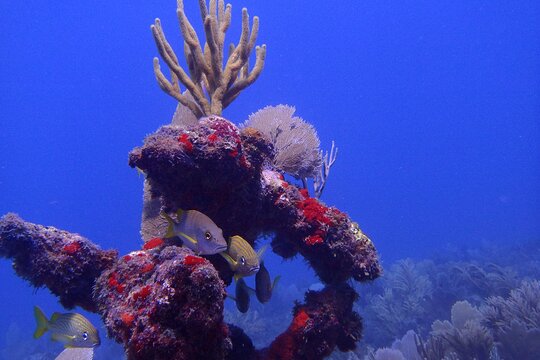 Tour image 7