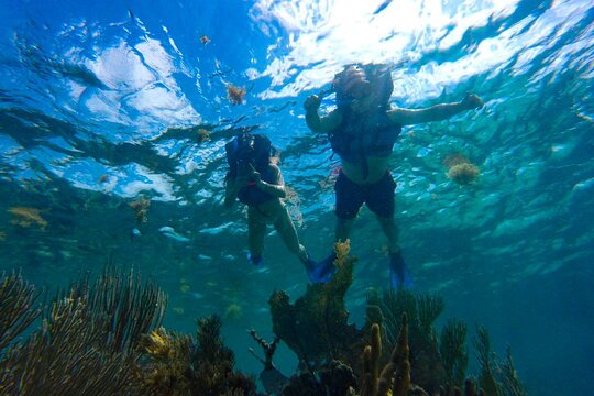 Tour image 11