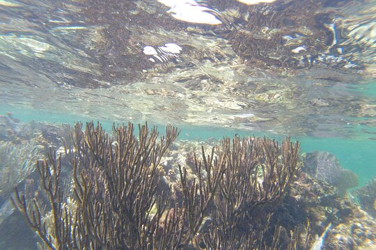 Tour image 6