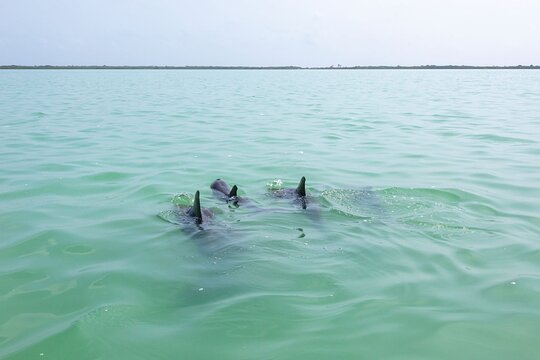Tour image 8